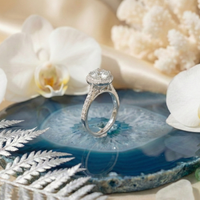 925 Sterling Silver Ethereal Solitaire Halo Adjustable Ring